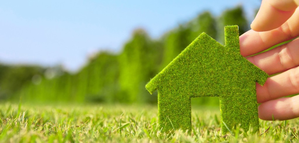 Green House: cinque consigli per rendere la propria casa più sostenibile